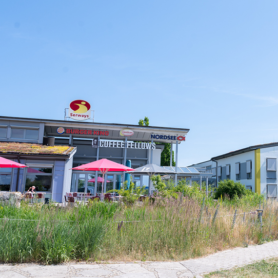 Bild_2025-06-03_104802548