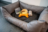 csm_Raststaettenhotel_Dresdner_Tor_Sued_Hundebett_und_Begruessungskoerbchen_666289eed4