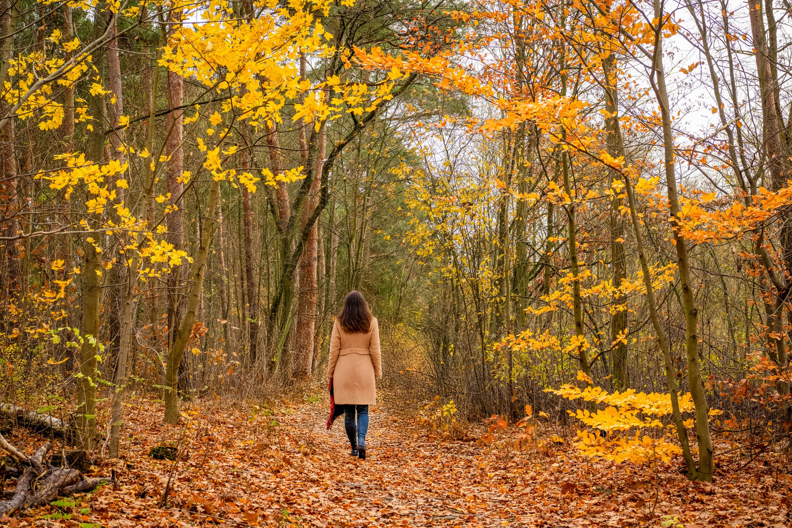 Tank und Rast-2024-107-Grunewald West (1)